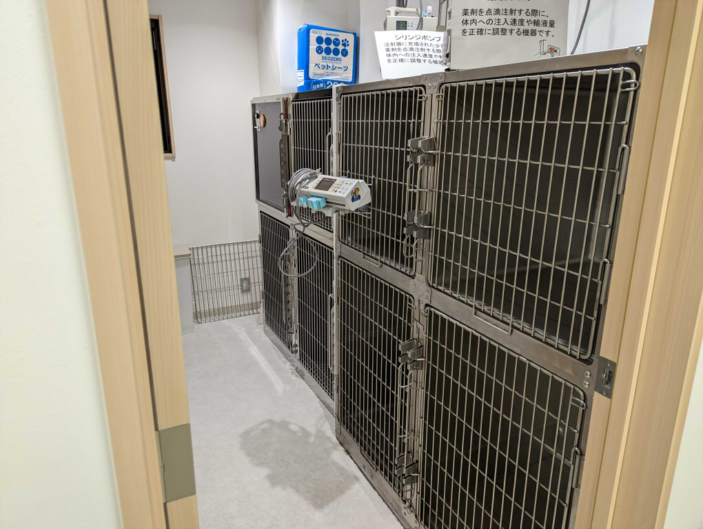 たかはた動物病院　犬の入院室