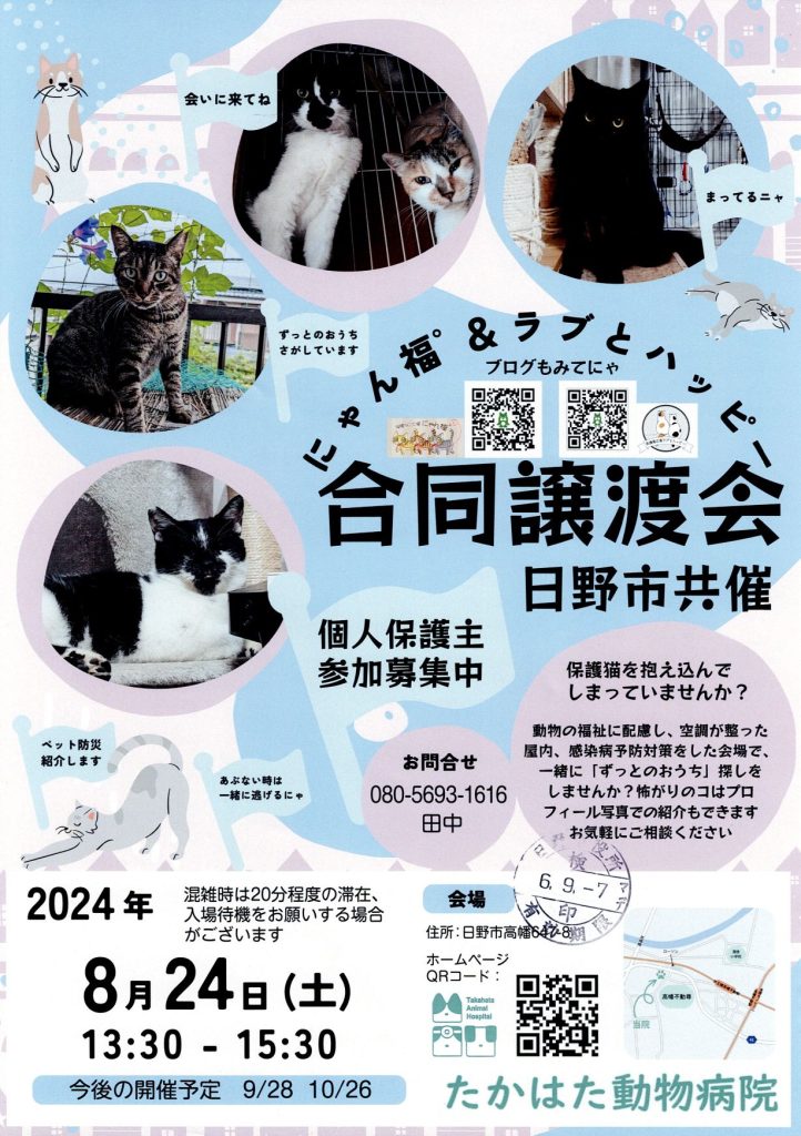 保護猫譲渡会