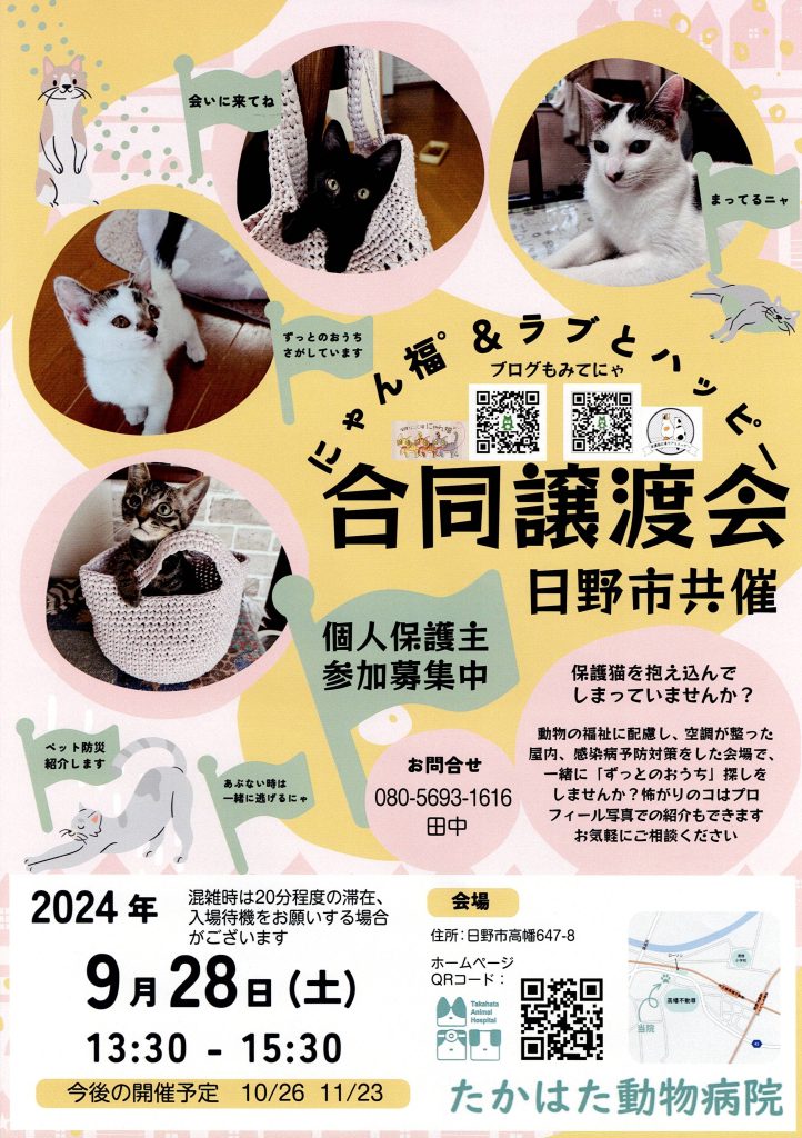 保護猫譲渡会　9月