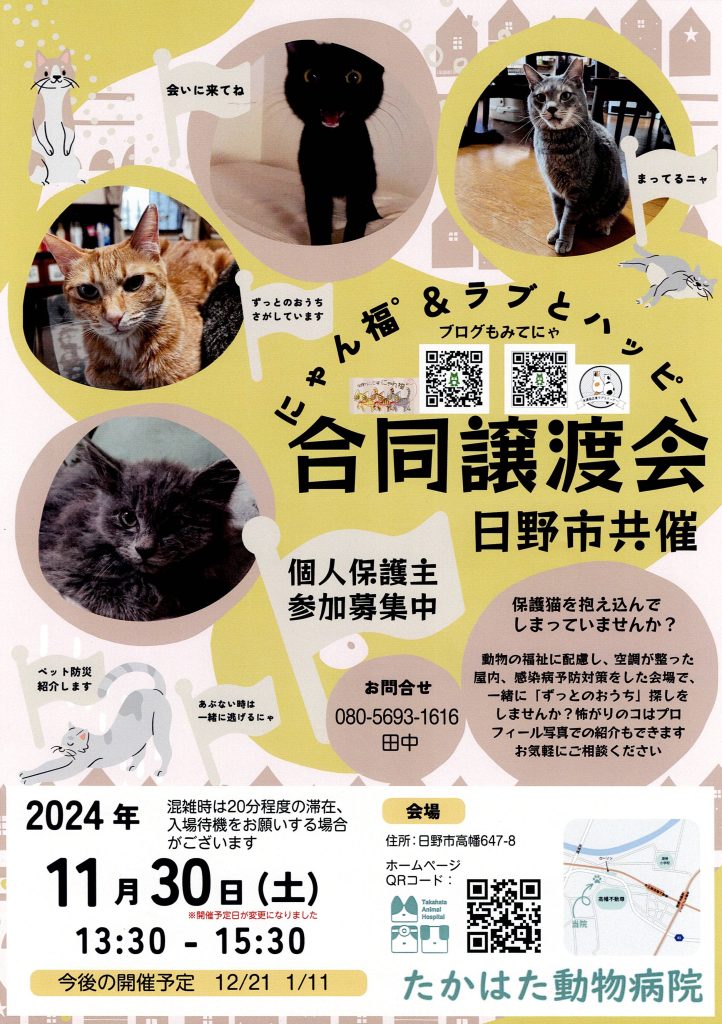 保護ねこ譲渡会