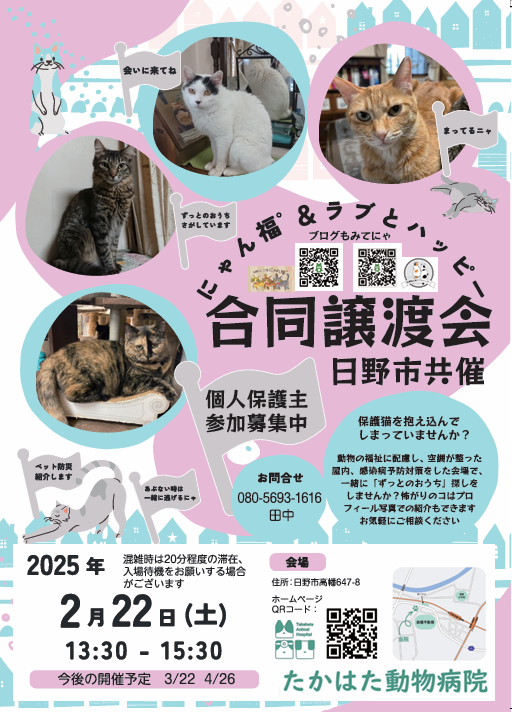 保護ねこ譲渡会