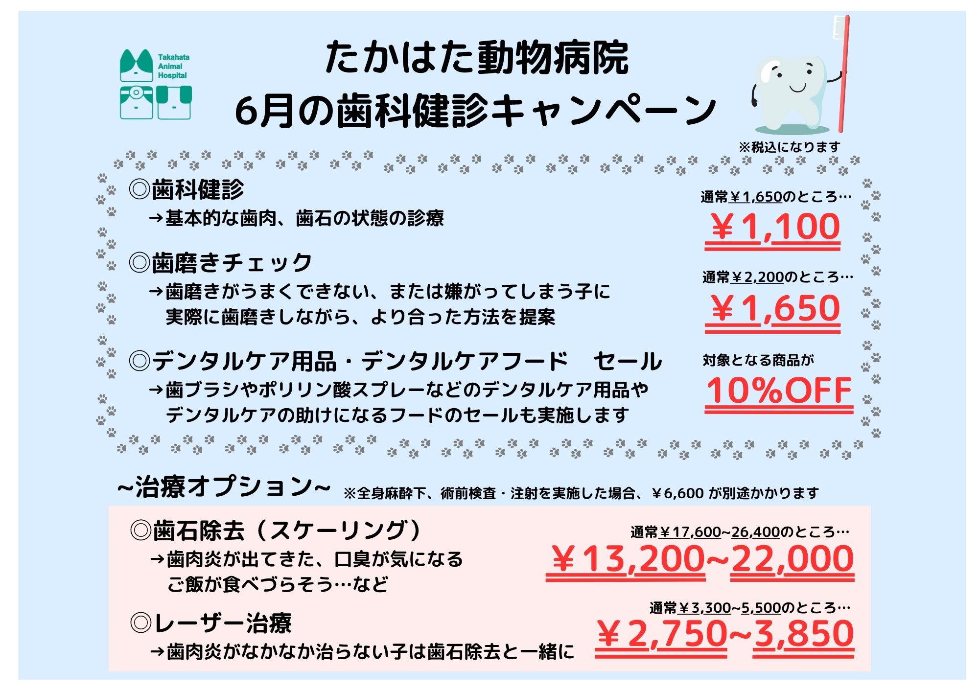歯科健診キャンペーン
