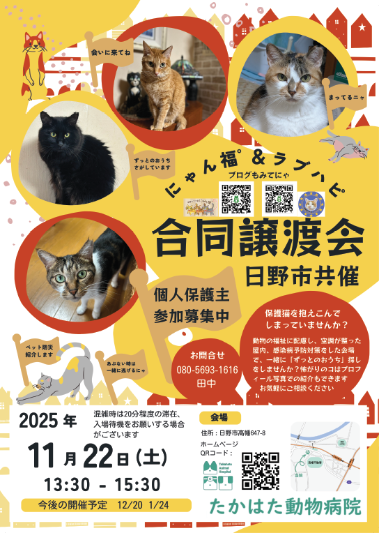 保護ねこ譲渡会