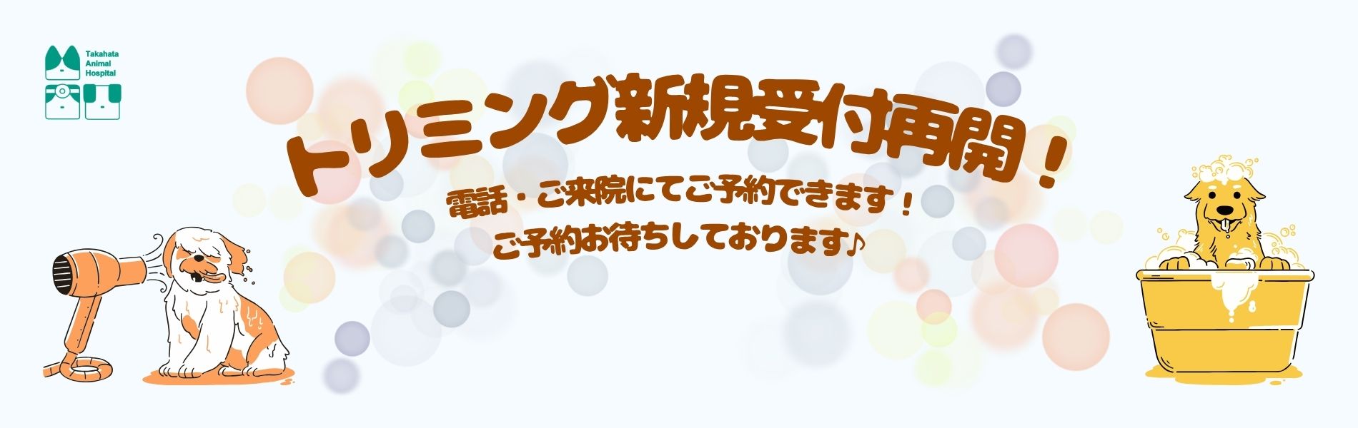 たかはた動物病院　秋の健康診断