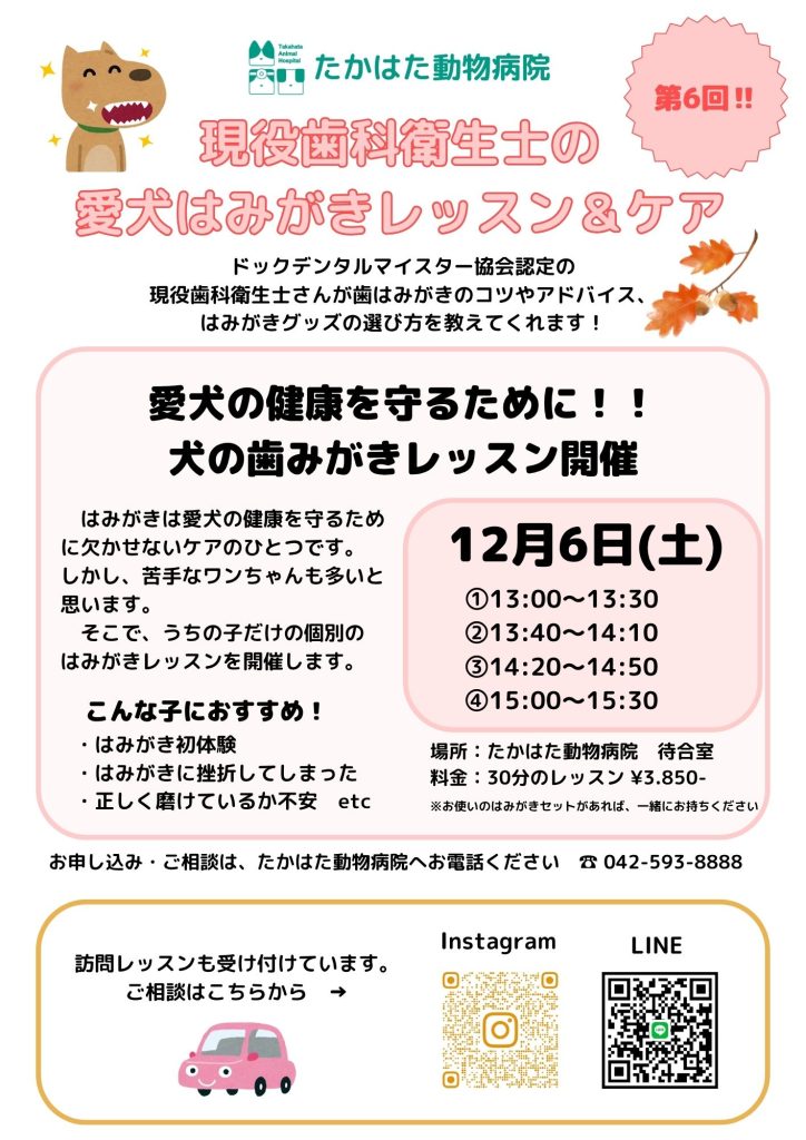 はみがきレッスン＆ケア