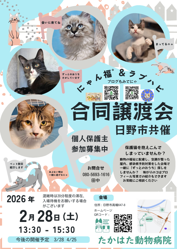 保護ねこ譲渡会